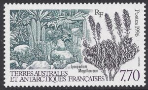 1996  French Antarctic.  SG.355  Lycopodium magellanicum. 1 value. U/M (MNH)