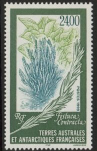 1999  French Antarctic  SG.402  Festuca contracta. 1 value. U/M (MNH)