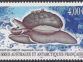 2005  French Antarctic  SG.538  Harpovoluta charcoti. 1 value. U/M (MNH)