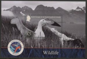 2025 South Georgia. MS.875  Wildlife. mini sheet. U/M (MNH)