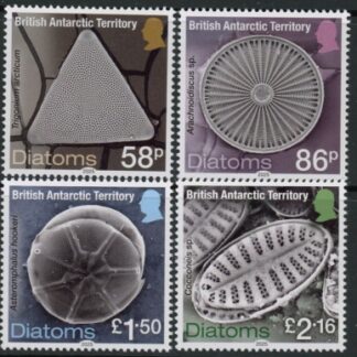 2025 British Antarctic SG.tba  Diatoms. set 4 values. U/M (MNH)