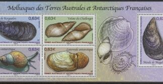 2014 French Antarctic MS.712 French Antarctic Molluses Mini Sheet U/M (MNH)