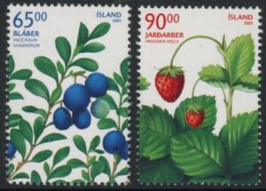 2005 Iceland SG.1117-8 Berries Set of 2 values U/M (MNH)