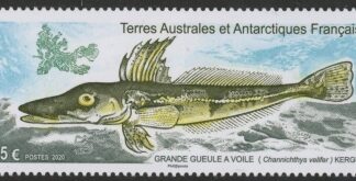 2020 French Antarctic SG.893 Crocodile Icefish U/M (MNH)