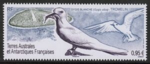 2019 French Antarctic SG.869 White Tern U/M (MNH)