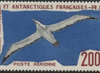 1959 French Antarctic  SG.18  200F Wandering Albatross mounted mint