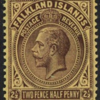 1923  Falkland Islands. SG.77  2½d dp purple/pale yellow.  U/M (MNH)