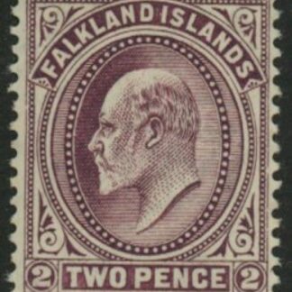 1904  Falkland Islands  SG.45 2d purple U/M (MNH).