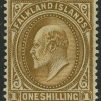 1904  Falkland Islands  SG.48  1/- brown U/M (MNH).