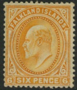 1904  Falkland Islands  SG.47  6d orange U/M (MNH).