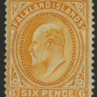 1904  Falkland Islands  SG.47  6d orange U/M (MNH).