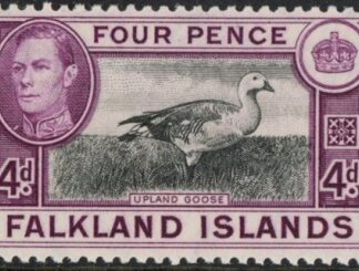 1938 Falkland Islands SG.154  4d black & purple.  U/M (MNH)
