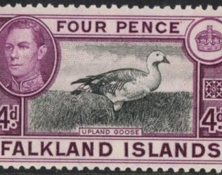 1938  Falkland Islands. SG.154  4d black and purple.  mounted mint